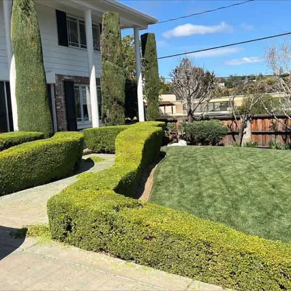 Baldo's Landscaping's other services