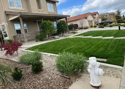 Reliable Garden Landscaping