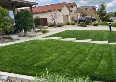 Reliable Landscape Designer