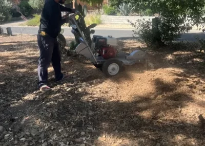 Affordable Landscaping Contractor
