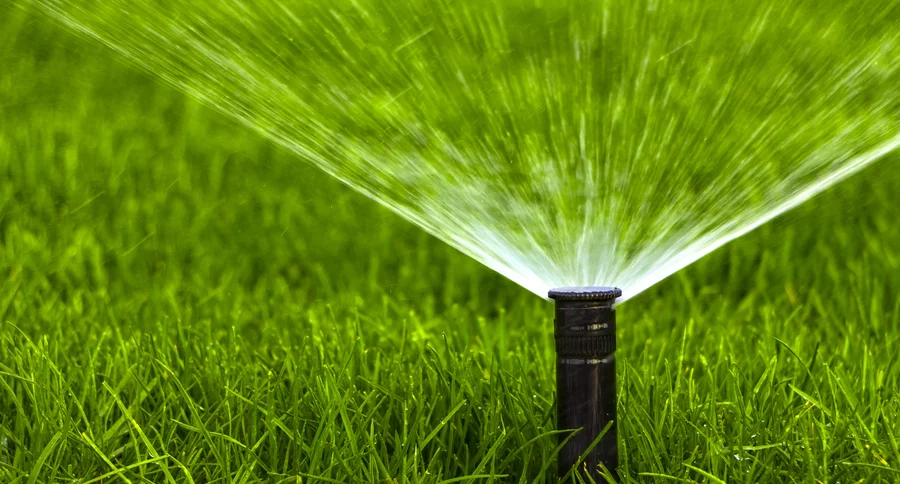 How Irrigation Installation Protects Your Plants During Dry Spells Vacaville, CA How Irrigation Installation Protects Your Plants During Dry Spells Vacaville, CA