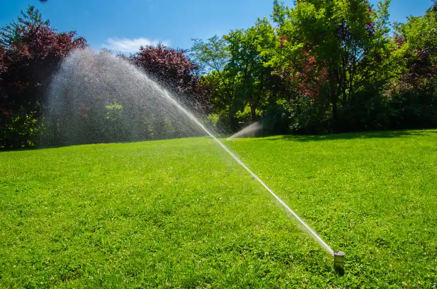 How To Choose The Right Irrigation System For Your Landscape in Vacaville, CA