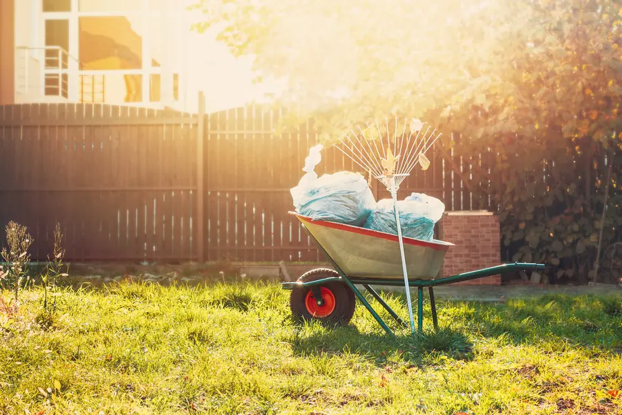 How Yard Cleanup Services Can Save You Time And Effort in Vacaville, CA How Yard Cleanup Services Can Save You Time And Effort in Vacaville, CA