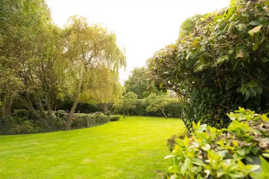 Quality Garden Maintenance Vacaville, CA