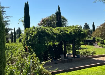 Top Front Yard Mulching