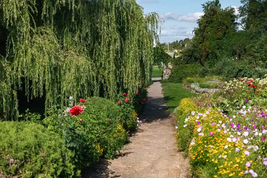 Understanding Seasonal Needs In Garden Maintenance in Vacaville, CA Understanding Seasonal Needs In Garden Maintenance in Vacaville, CA